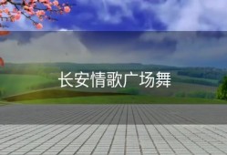 长安情歌广场舞