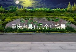 重庆忠县有几个广场舞