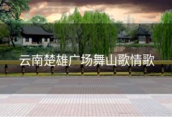 云南楚雄广场舞山歌情歌