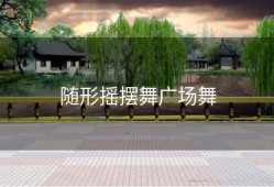 随形摇摆舞广场舞