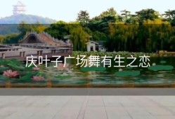庆叶子广场舞有生之恋