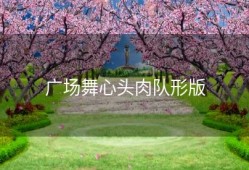 广场舞心头肉队形版