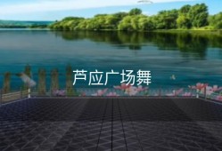 芦应广场舞