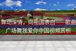 舞动深情，向祖国表白——歌曲广场舞我爱你中国视频赏析