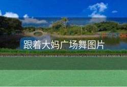跟着大妈广场舞图片