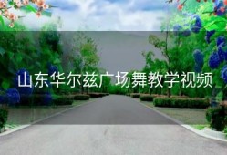 山东华尔兹广场舞教学视频
