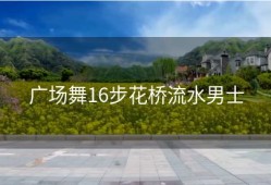广场舞16步花桥流水男士