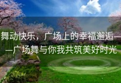舞动快乐，广场上的幸福邂逅——广场舞与你我共筑美好时光