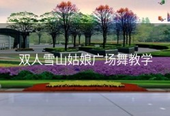 双人雪山姑娘广场舞教学