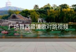 广场舞西藏情歌对跳视频