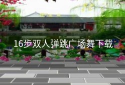16步双人弹跳广场舞下载