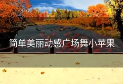 简单美丽动感广场舞小苹果