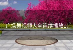 广场舞视频大全连续播放1l