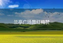 兰亭广场舞红梅赞