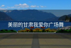 美丽的甘肃我爱你广场舞