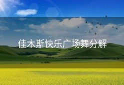 佳木斯快乐广场舞分解