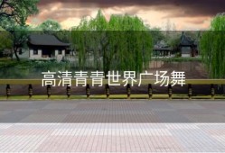 高清青青世界广场舞