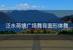 泛水荷塘广场舞背面形体舞