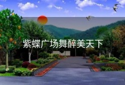 紫蝶广场舞醉美天下