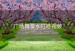 广场舞泉水叮咚视频
