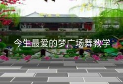 今生最爱的梦广场舞教学