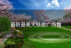 最新最美大秧歌广场舞