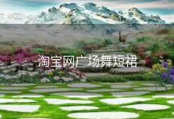 淘宝网广场舞短裙