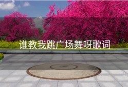 谁教我跳广场舞呀歌词