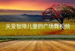 关爱智障儿童的广场舞视频