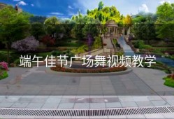 端午佳节广场舞视频教学
