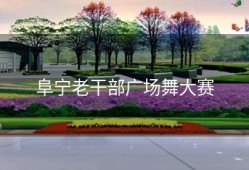 阜宁老干部广场舞大赛