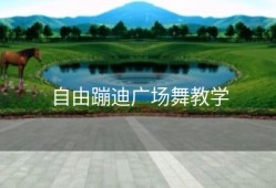 自由蹦迪广场舞教学