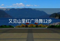 又见山里红广场舞12步