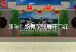 新年广场舞花球舞开门红
