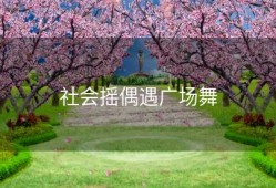 社会摇偶遇广场舞