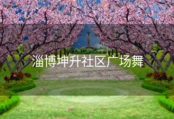 淄博坤升社区广场舞