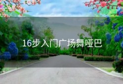 16步入门广场舞哑巴