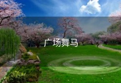 广场舞马