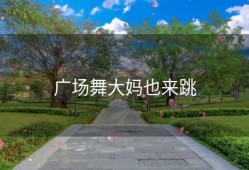 广场舞大妈也来跳