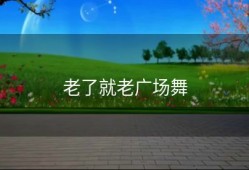 老了就老广场舞
