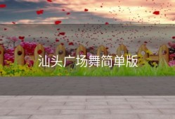 汕头广场舞简单版