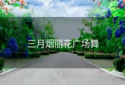 三月烟丽花广场舞