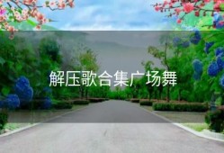 解压歌合集广场舞