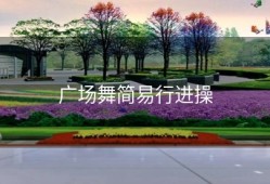 广场舞简易行进操