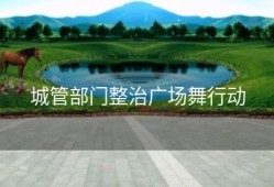 城管部门整治广场舞行动