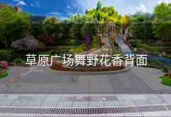 草原广场舞野花香背面