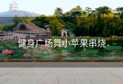 健身广场舞小苹果串烧