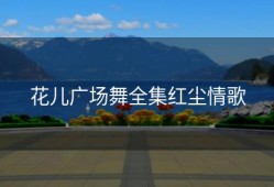 花儿广场舞全集红尘情歌