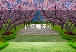 广场舞汗衫