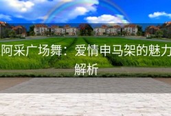 阿采广场舞：爱情申马架的魅力解析